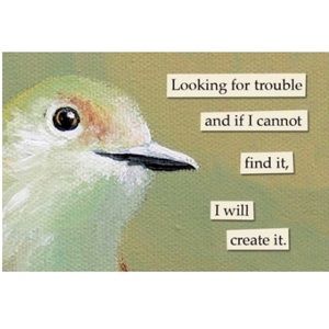 Meet your Posher, Desiree